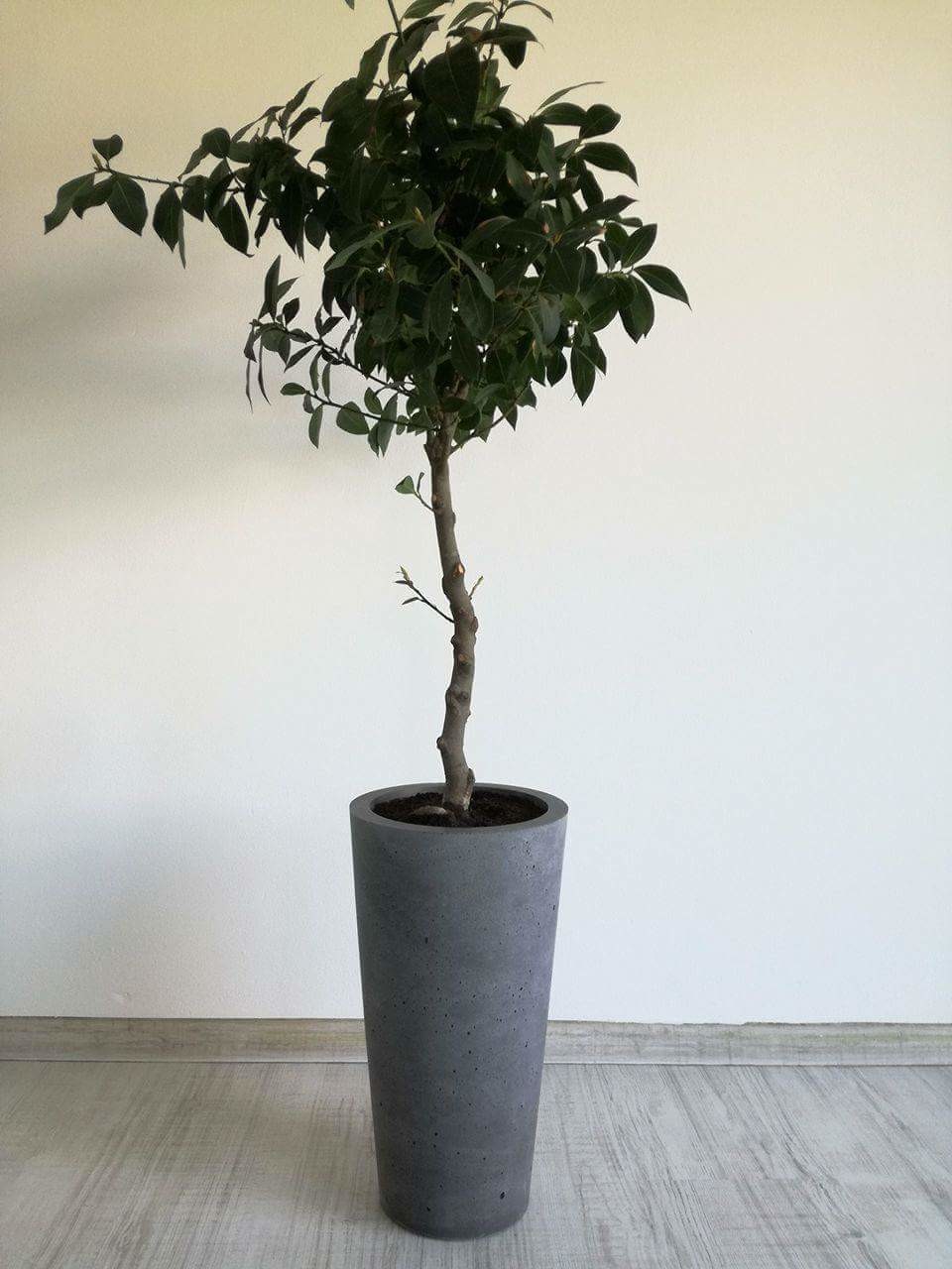 Beton Blumenkasten - Kegelförmig, klein